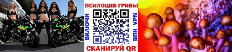 закладка  Иноземцево  Псилоцибиновые грибы MAGIC MUSHROOMS 